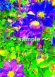画像1: パッションフラワー１.ギャラリーブランジュール銀座オリジナル／PassionFlower 1. (1)