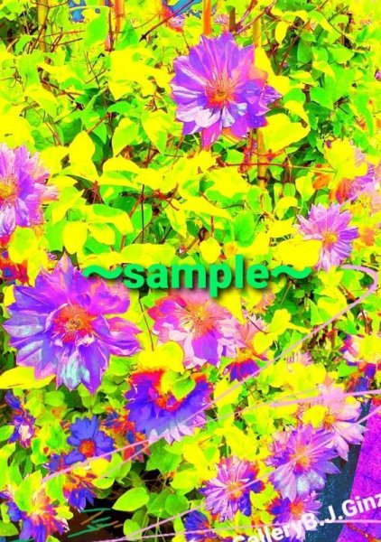 画像1: パッションフラワー2. ギャラリーブランジュール銀座オリジナル／PassionFlower 2. (1)