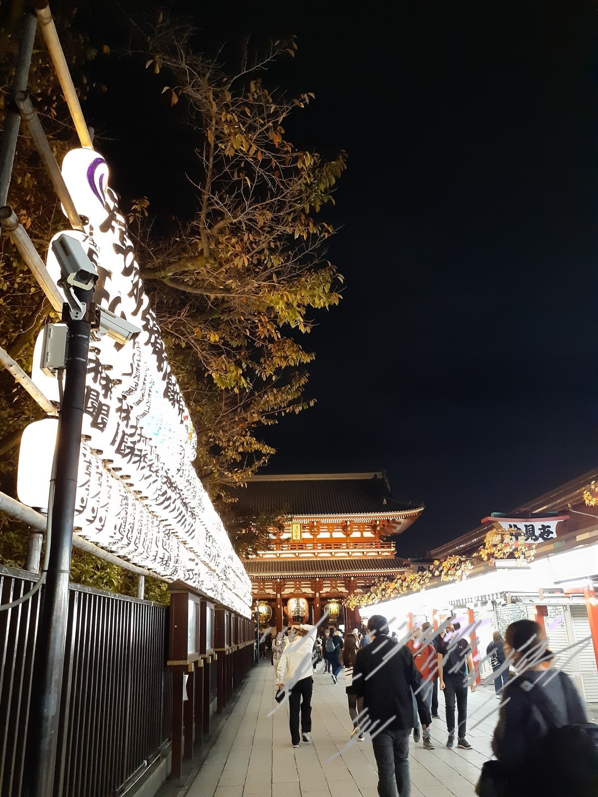 浅草寺 ✨